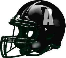 Alvin Iowa Colony helmet