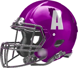 Anna helmet