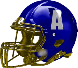 Arlington Lamar helmet