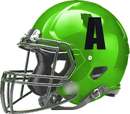 Arlington helmet