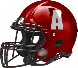 Austin Travis helmet