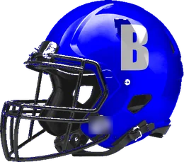 Bartlett helmet