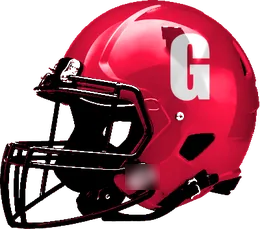 Gainesville helmet