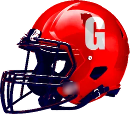 Georgetown East View helmet