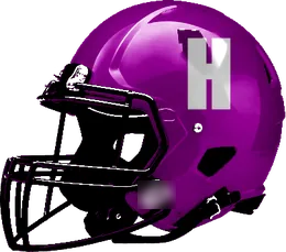 Houston Wheatley helmet