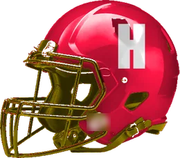 Houston Yates helmet