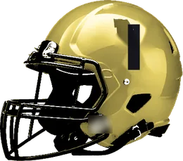 Irving helmet