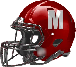 Mansfield Timberview helmet