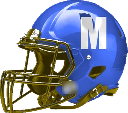Mineral Wells Community helmet