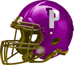 Panhandle helmet