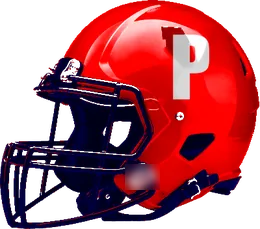 Plainview helmet