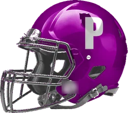 Port Neches-Groves helmet