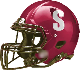 Saginaw helmet
