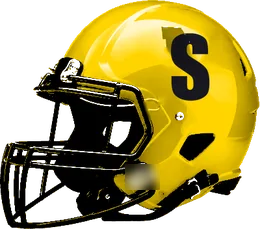 Seguin helmet