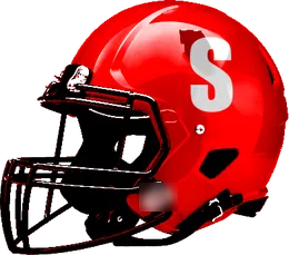 Strawn helmet