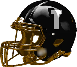 Tom Bean helmet