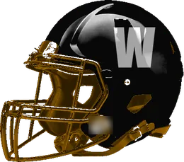 Wink helmet